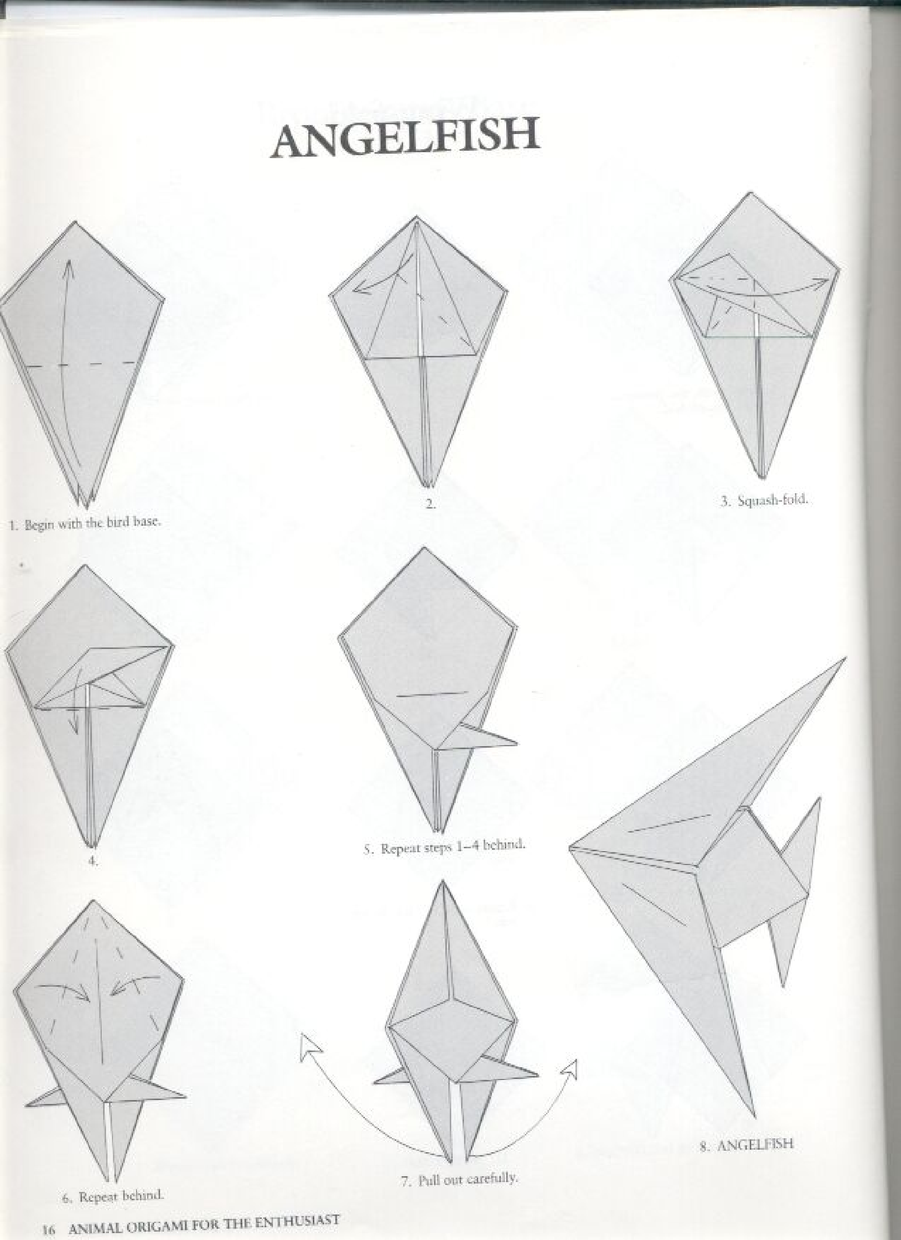 Angelfish folding diagrams page