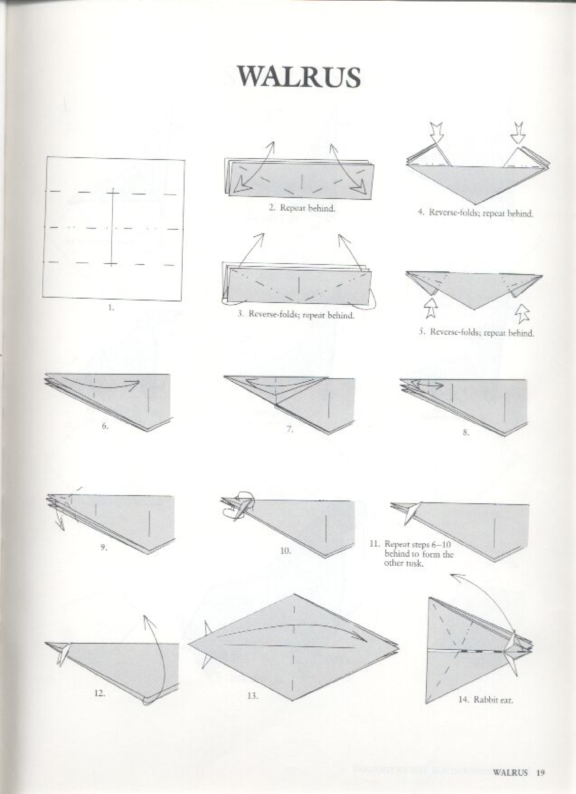 Walrus folding diagrams page
